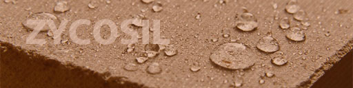 معرفی کامل تکنولوژی نانو زایکوسیل